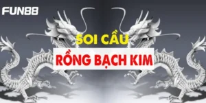 soi cau rong bach kim fun88